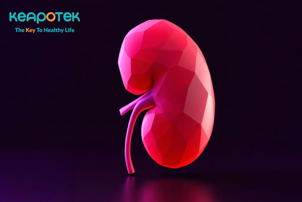 Apa saja Tanda-tanda Penyakit Ginjal?