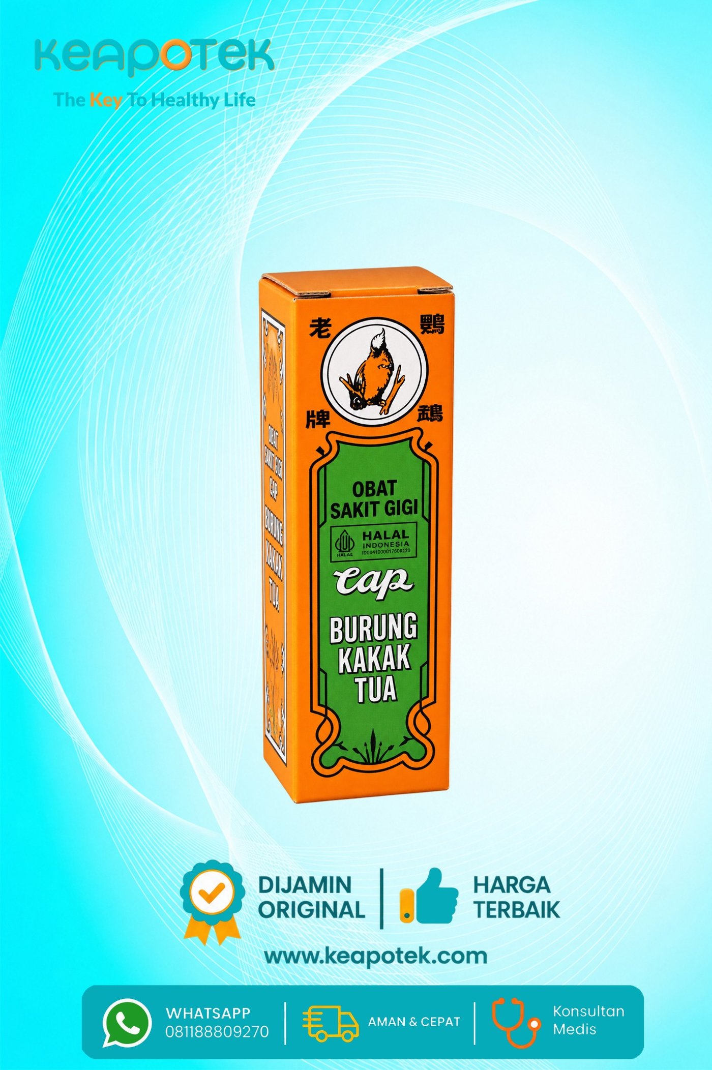 Obat Sakit Gigi Burung Kakak Tua
